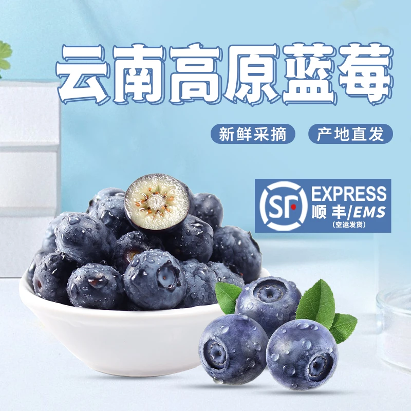 【云南空运直发】云南高原蓝莓鲜果花青素新鲜水果现摘产地直发AS