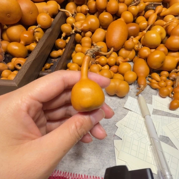 辰***）沉寂的一把小异型钱袋子小丑