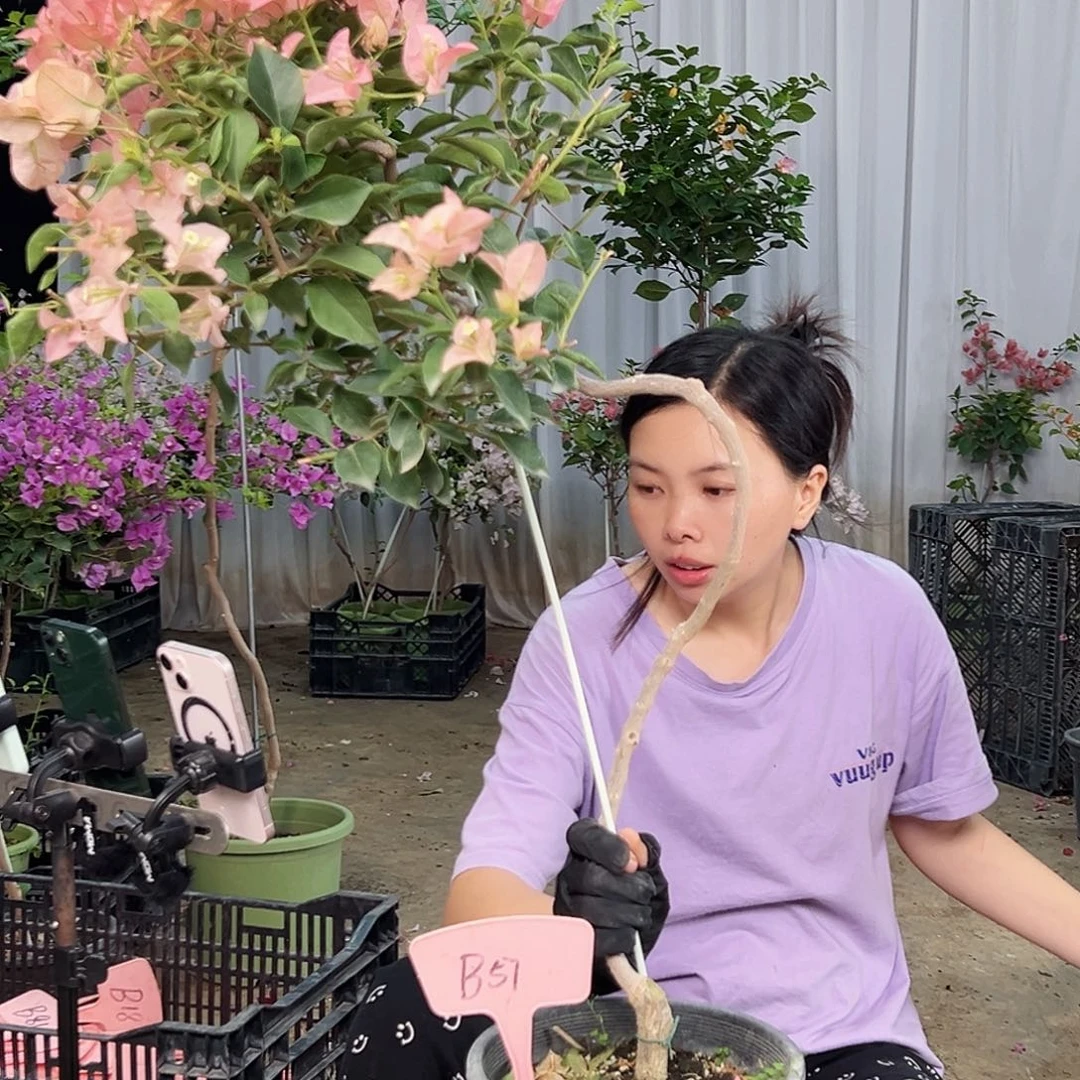 程***程完全开放B57卡亚塔