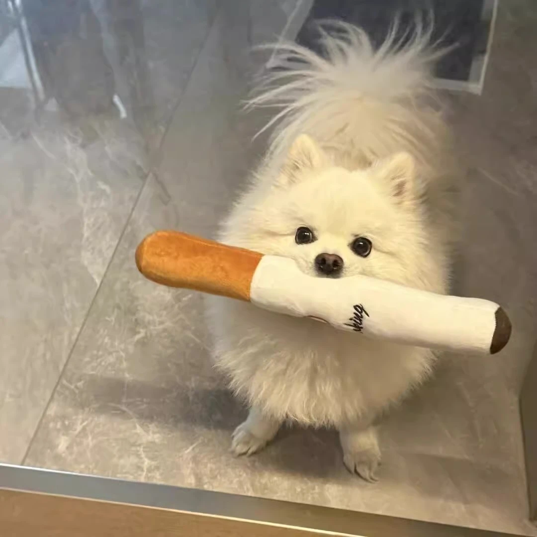 狗狗华子造型宠物玩具毛绒耐咬磨牙解闷神器小狗泰迪比熊宠物用品