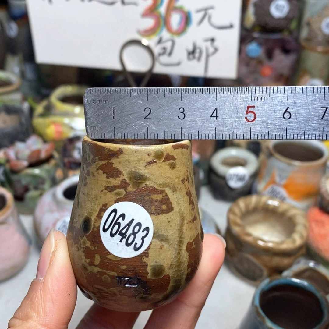 花盆拍5送一个小礼物