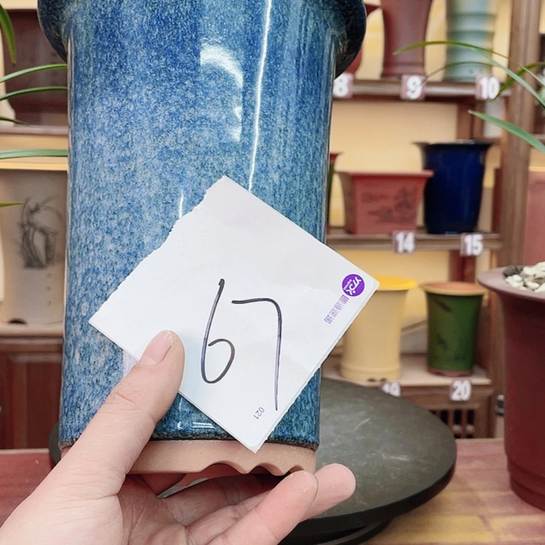 【闪购商品】紫砂花盆王**陈兰花442554447555854785