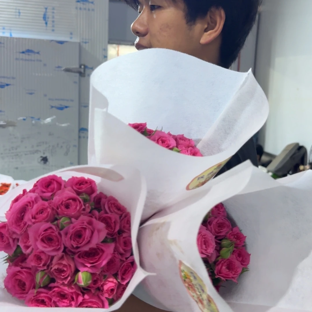 苏菲3扎包邮价秒杀