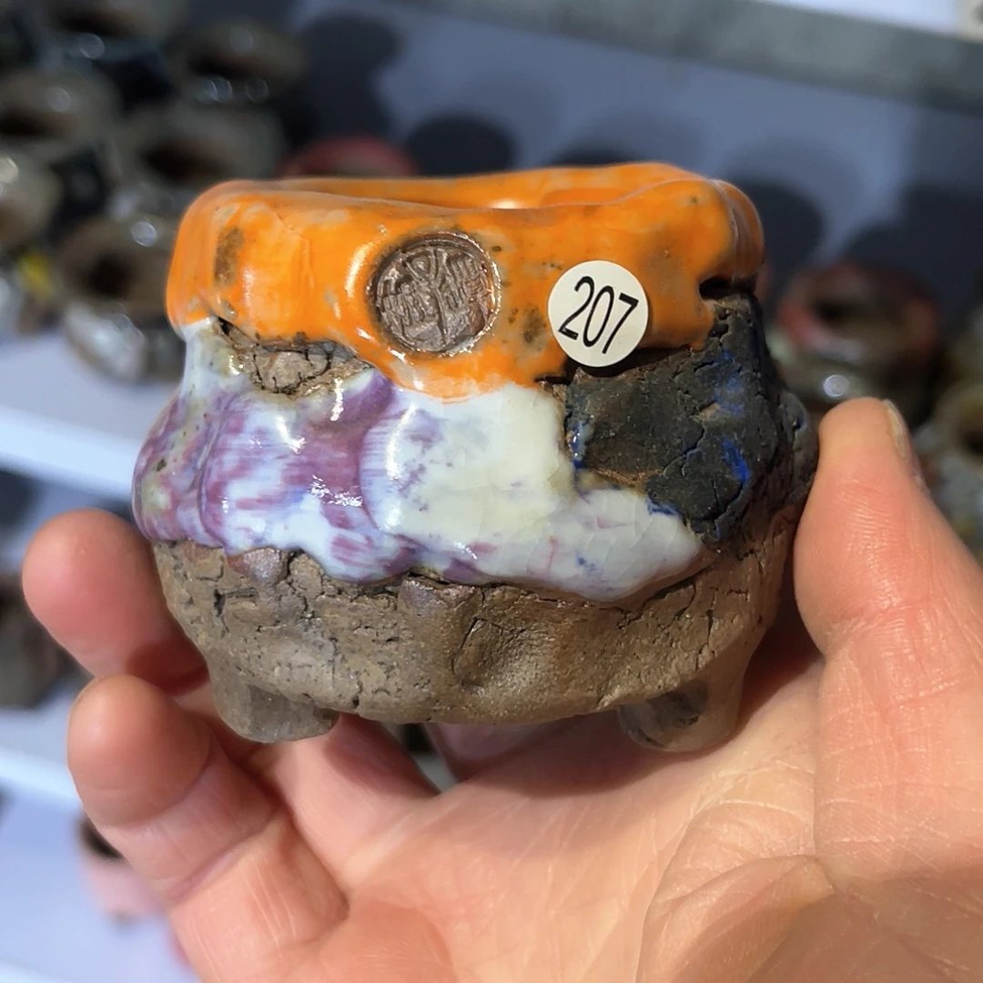 红陶M****✨小地雷4口