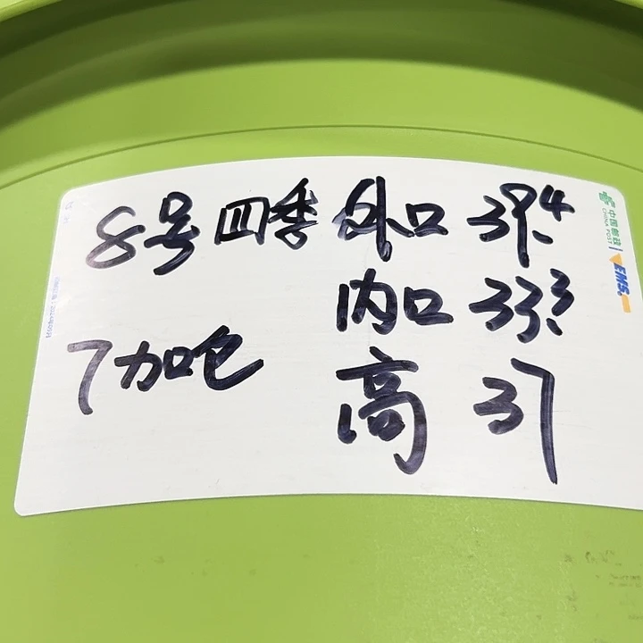 四季8号特价白色5个无托