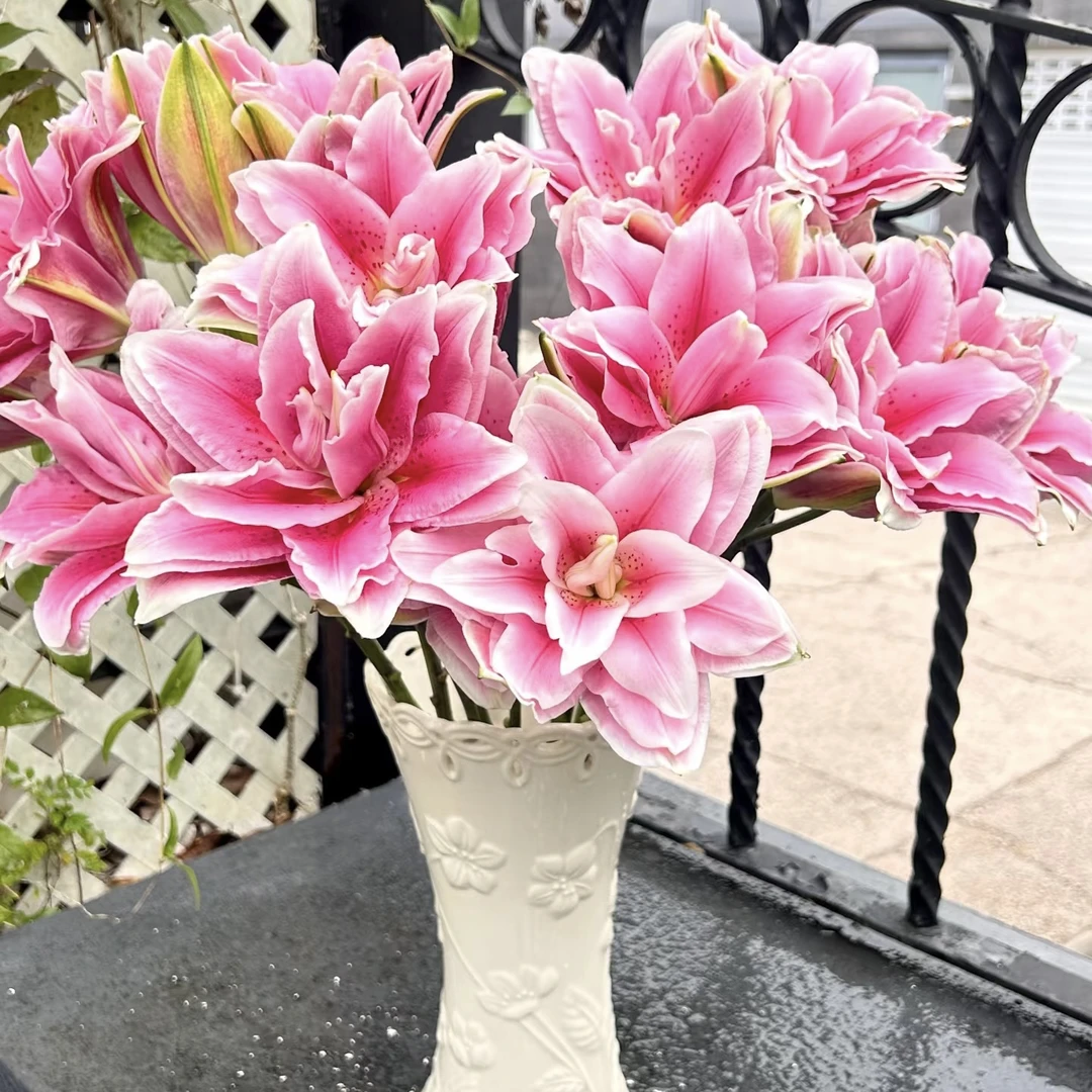 百合4朵+翠珠+风铃+紫罗兰5支+配草