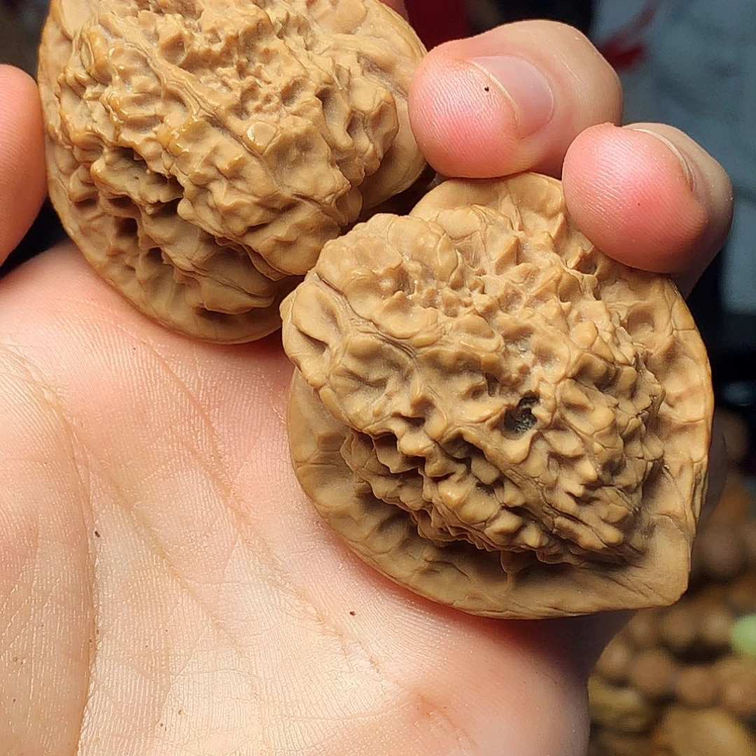 橄榄核手串/手链hbhhhjhhhhhhjj