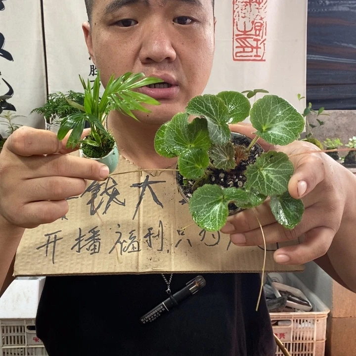 无花朵退款拉黑拉黑12