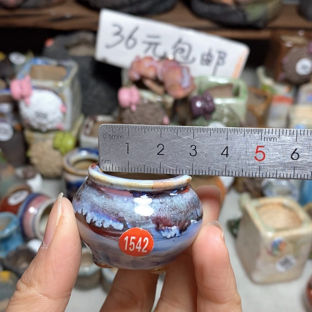 拍5送一个小礼物