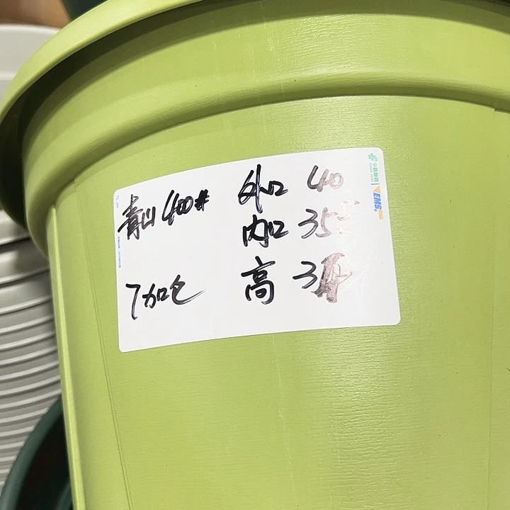青山口40高34绿色无托5个