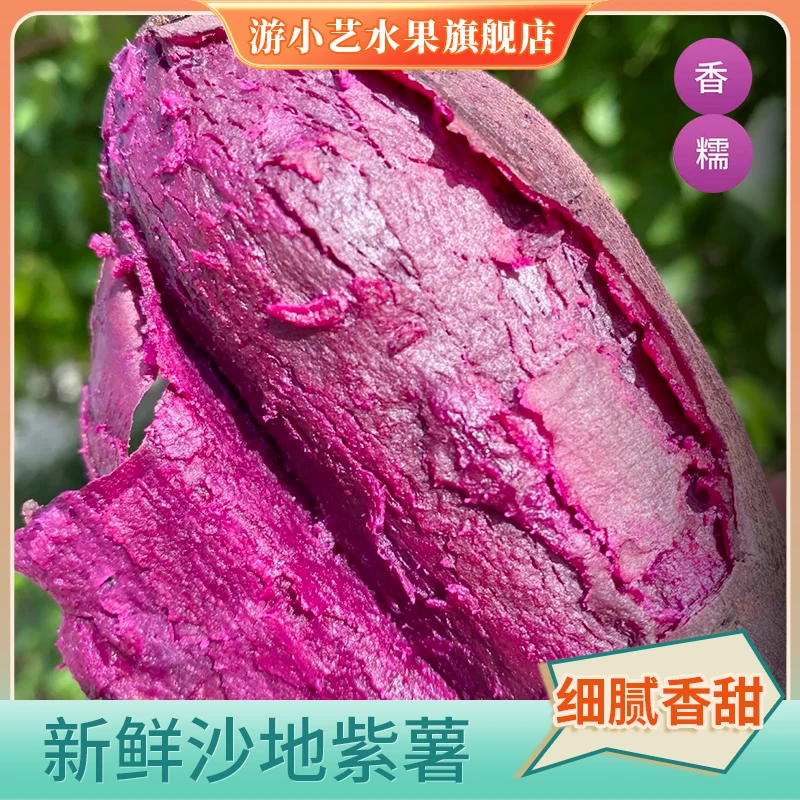 新鲜沙地紫薯 净重3斤起 新鲜现摘现挖 香甜软糯地瓜番薯粗粮
