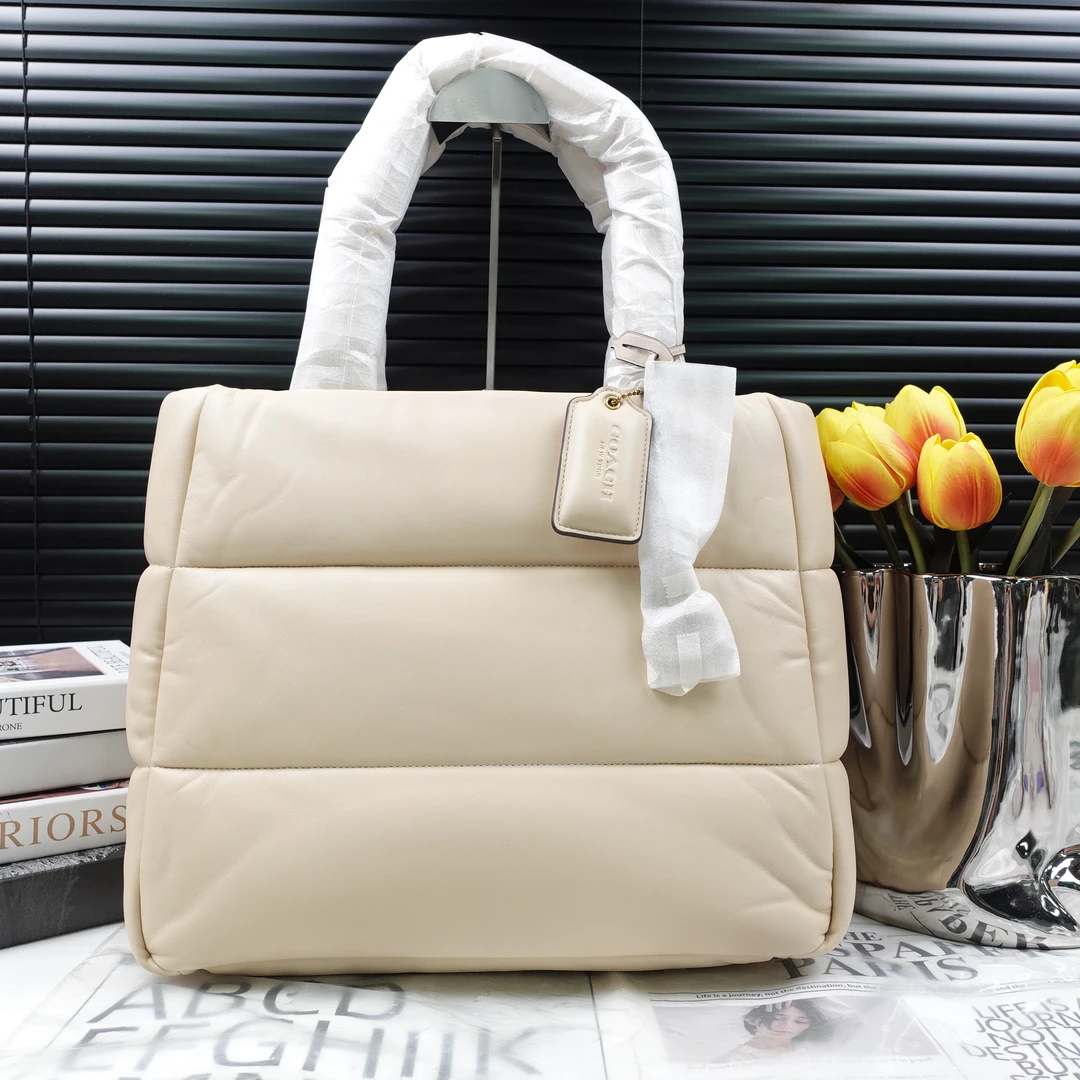 95新 COACH/蔻驰 单肩包/T10293647