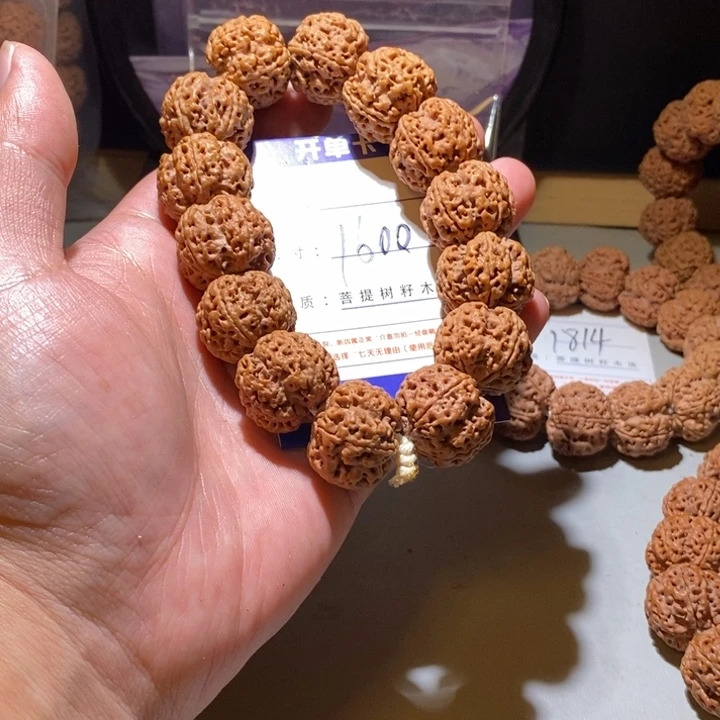 手串金刚菩提1600号尺寸23龙爪梅花