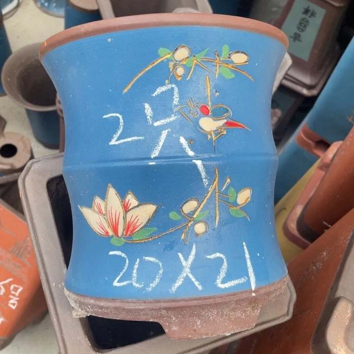 周深周深周深周深周深
