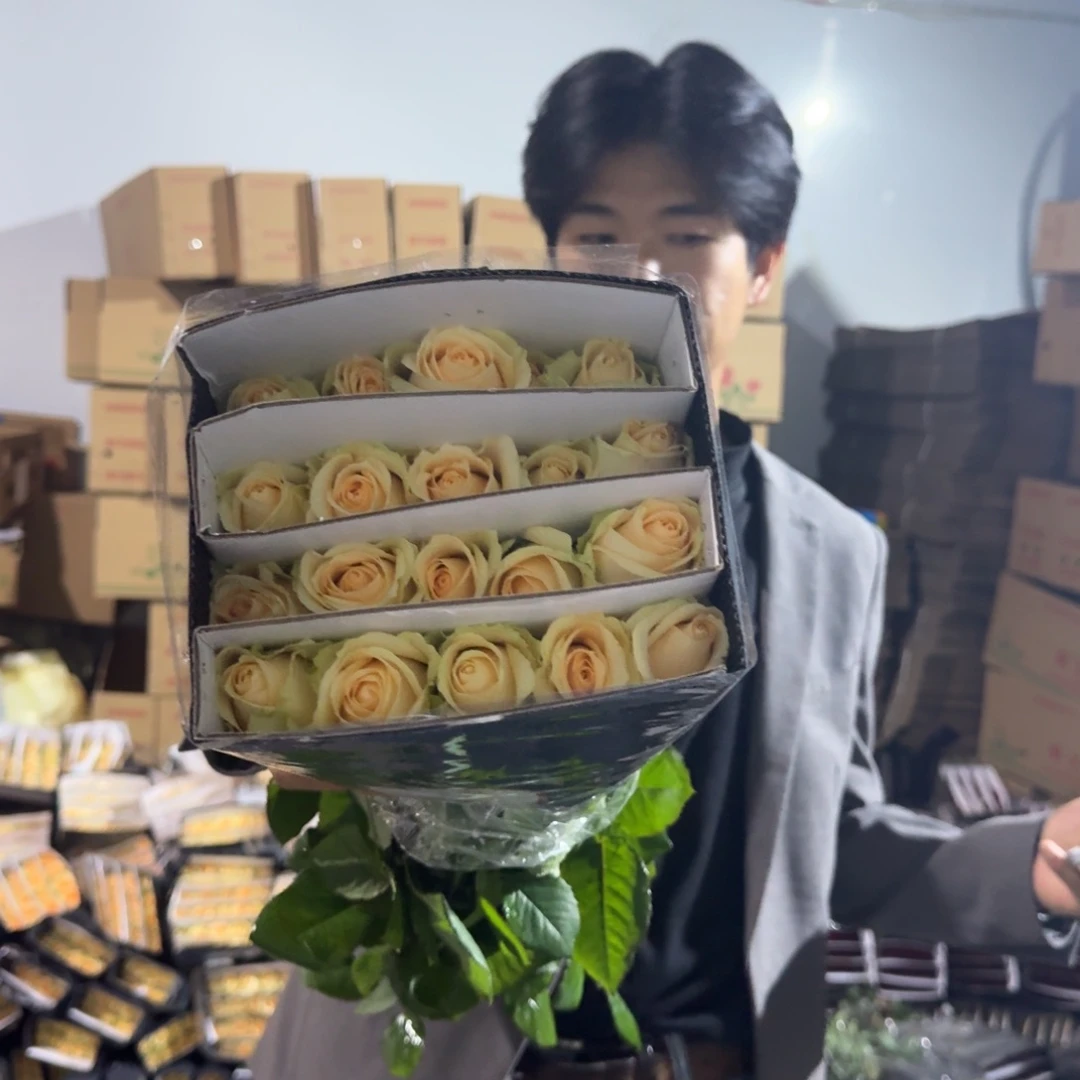 香槟4扎包邮价秒杀