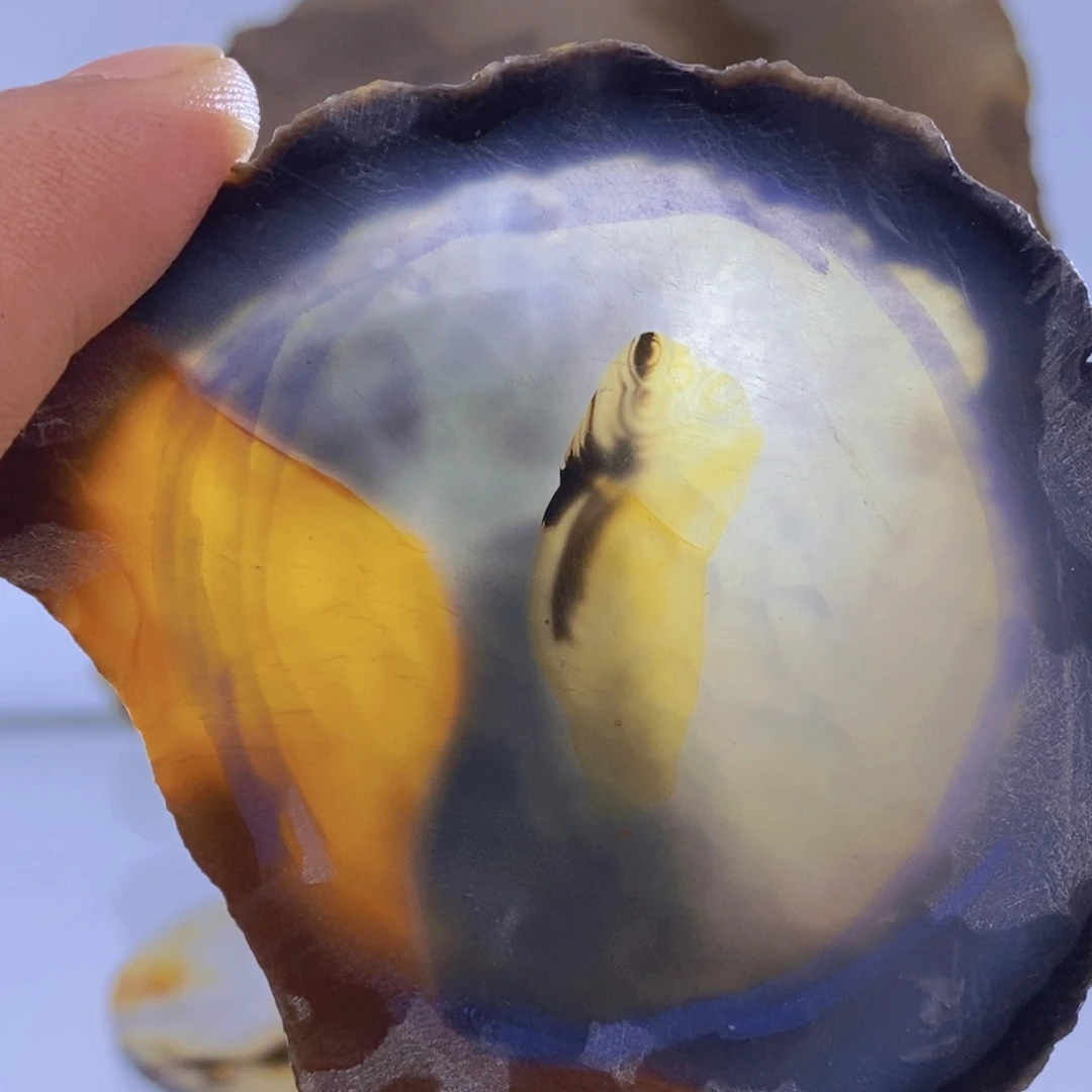 玛瑙/玉髓吊坠(不含链)未镶嵌6**0