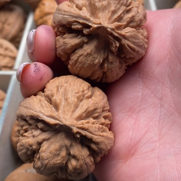 @***富霸王龙全品无修一刀没动