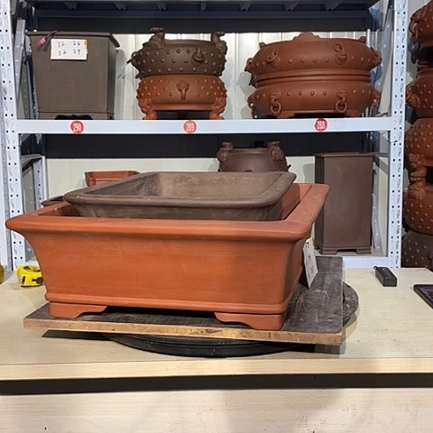 紫砂花盆紫砂花香四