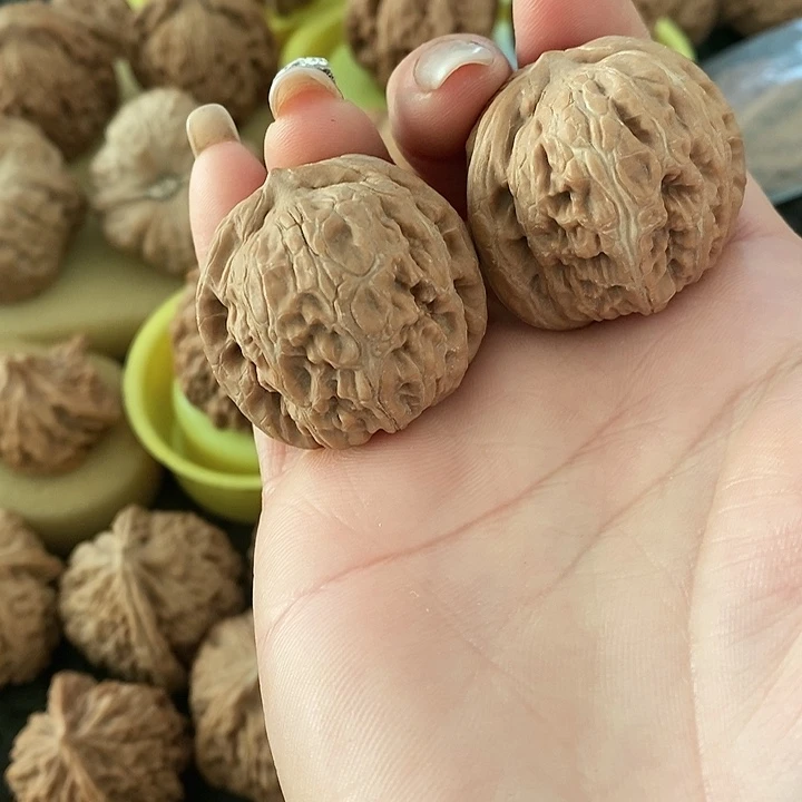 穿**海37元宝无修无修无修无修