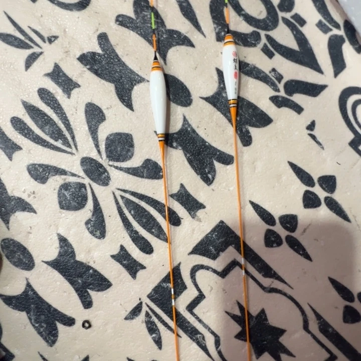 dp03的1号➕2号各一只