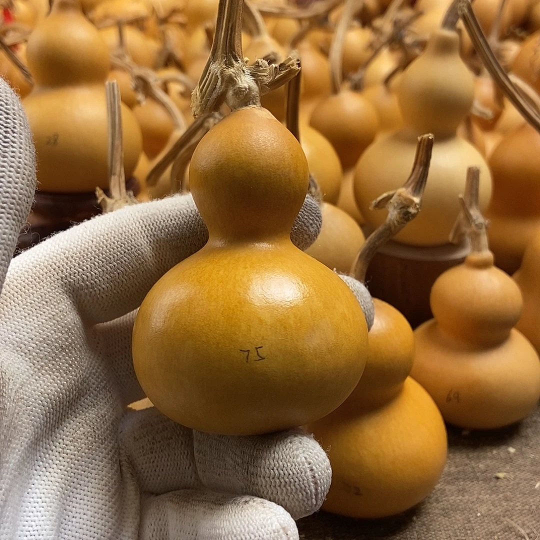 文玩葫芦 完美主义者 慎拍75