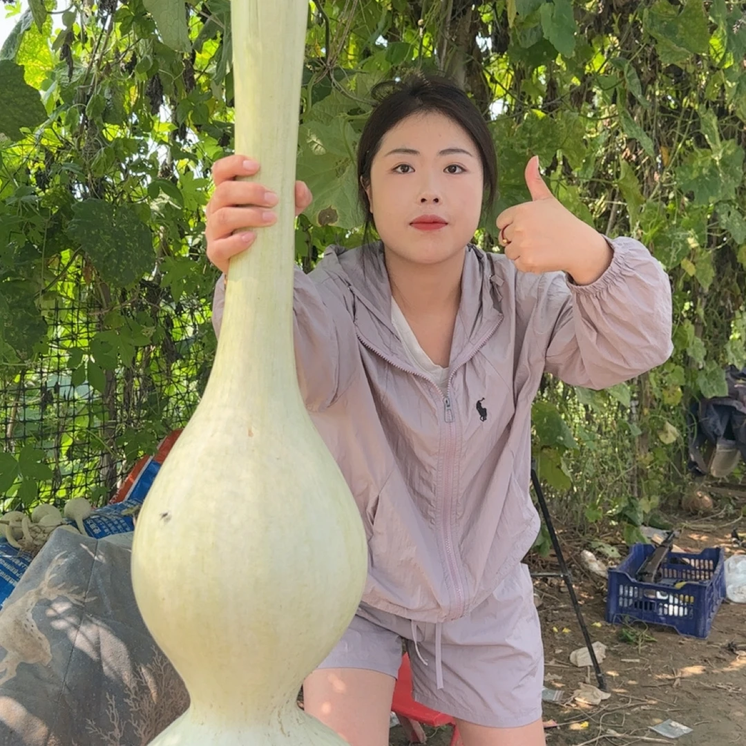 超大蛇头长嘴大八宝