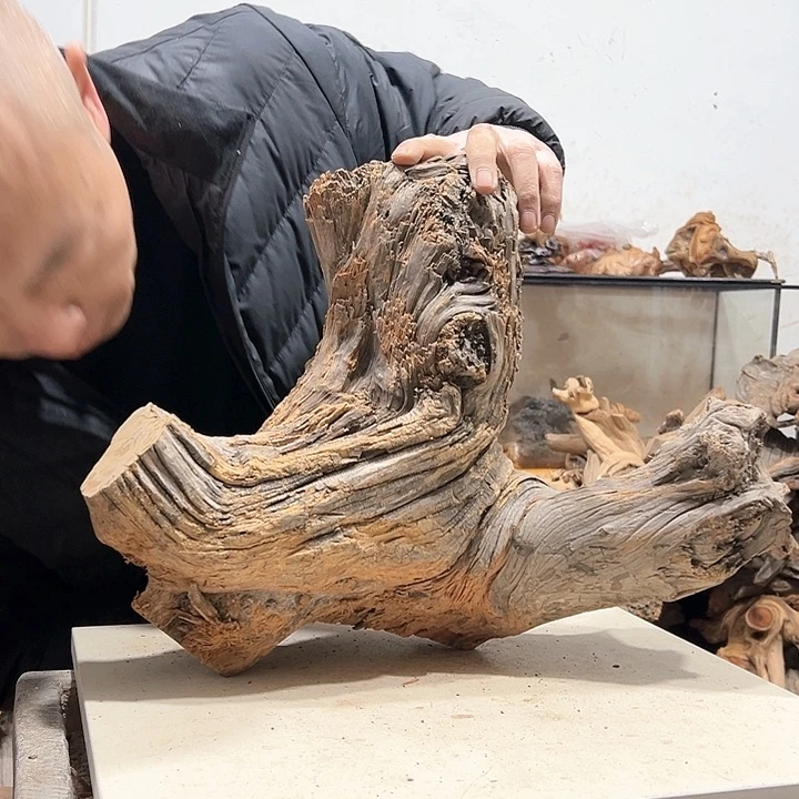 柏木柏*我们的生活也是如此