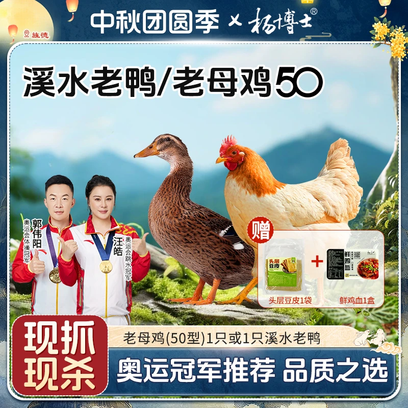【单只老母鸡或老鸭】杨博士土鸡深山散养老母鸡或土鸭子新鲜现杀