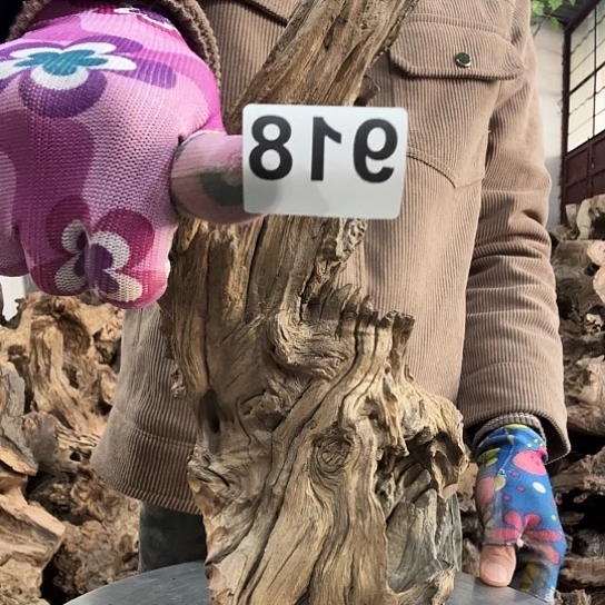 0**7紫砂噜啦啦啦啦啦啦