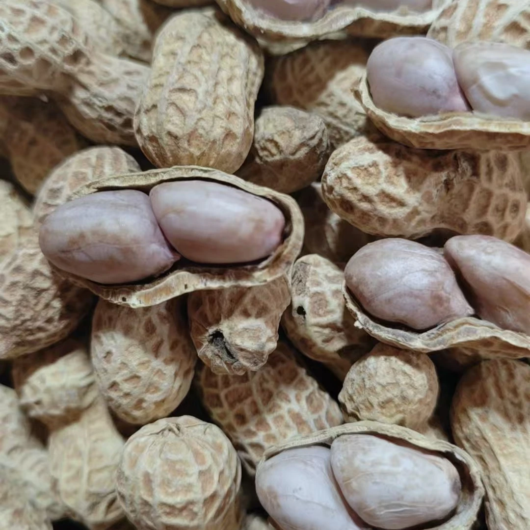 福建特产水煮微烤咸干花生美味即食休闲零食500g