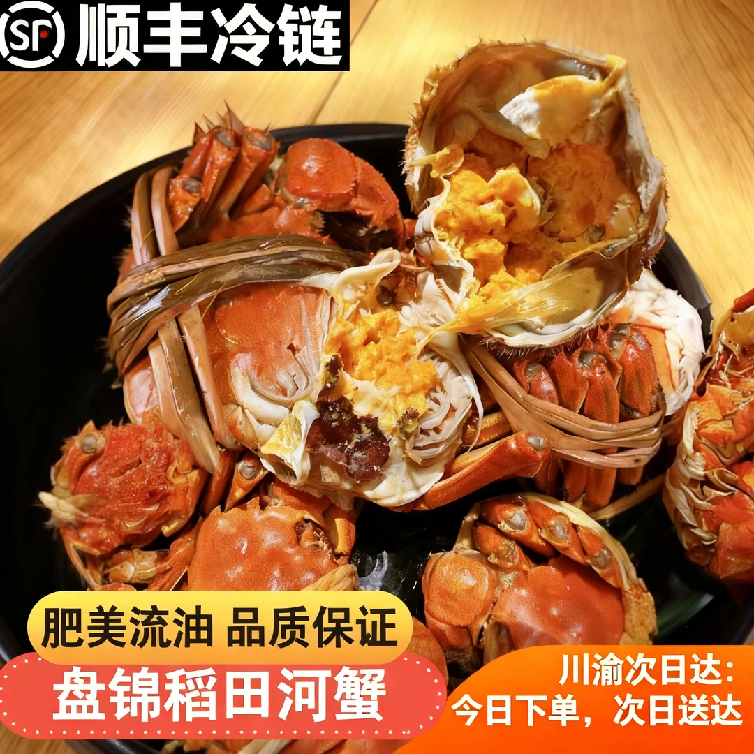 【川渝贵次日达】盘锦河蟹1-1.3两5-30只全母活蟹溯源特惠 顺丰冷链-次日送货上门