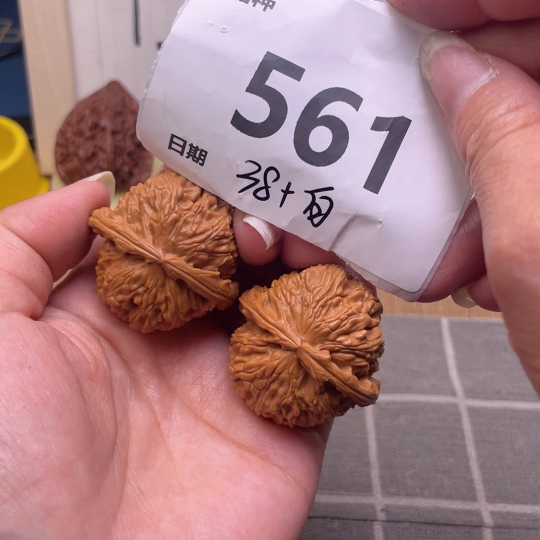 文玩核桃把件561号38白狮子