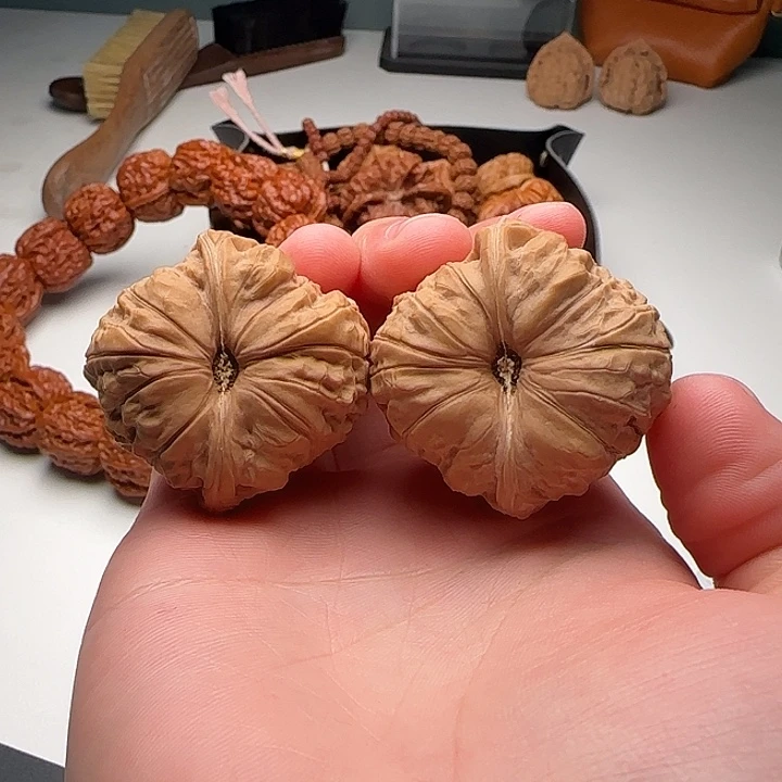 40-39-31南瓜墩12号