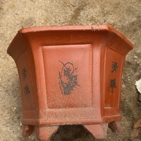 紫砂25红清雅六方花盆叫不怕