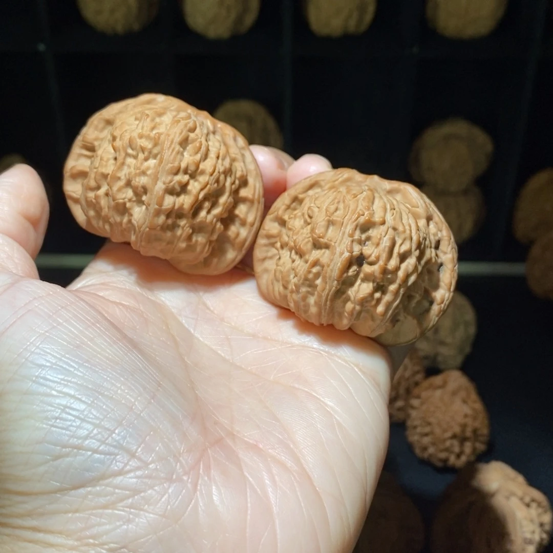 文玩核桃把件白狮子