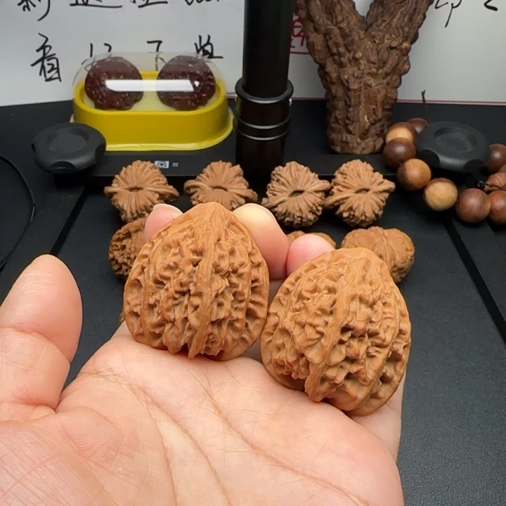37全品八龙筋核桃