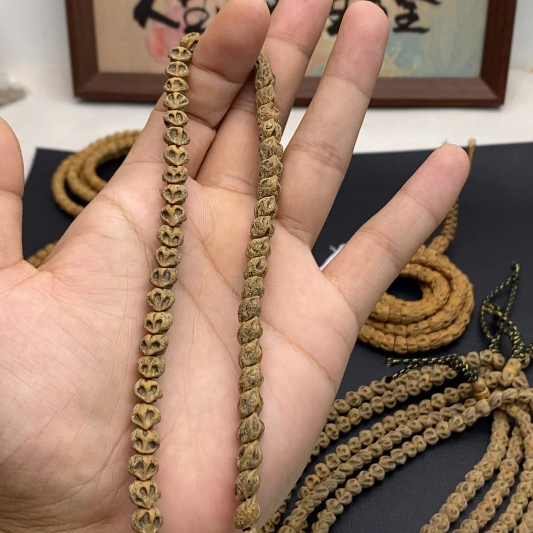 热振柏香籽斜打手持一条双眼蛇骨