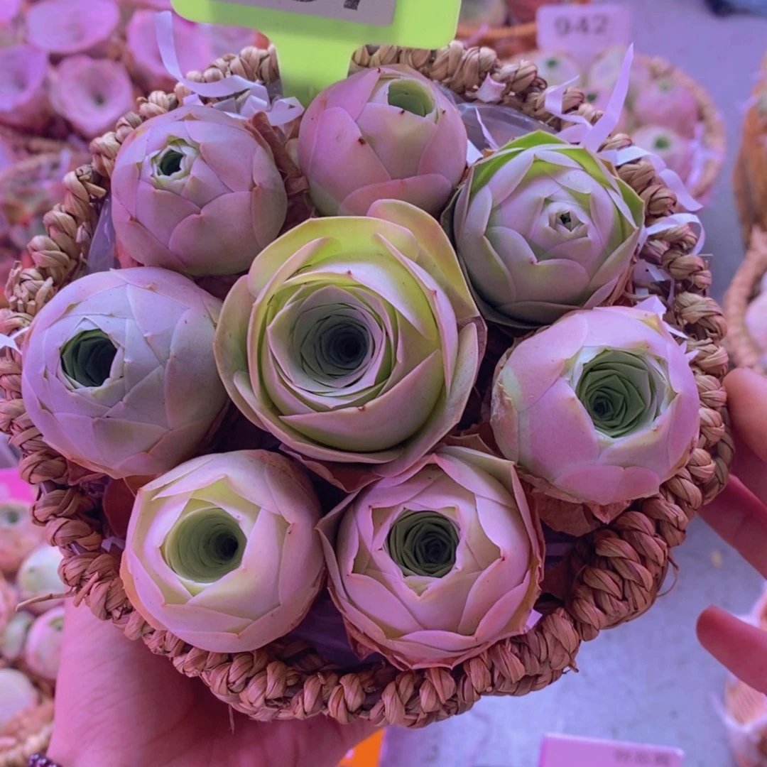 爱**华887山地玫瑰一物一拍花篮