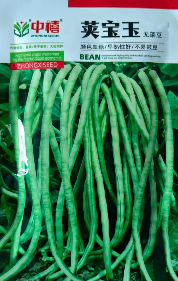 中禧荚宝王无架长豆角种子不用搭架子的四季高产蔬菜种