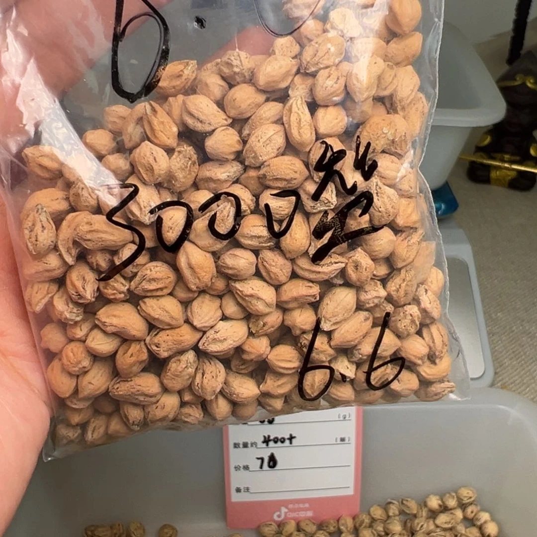 柏香籽/百香籽吊坠关