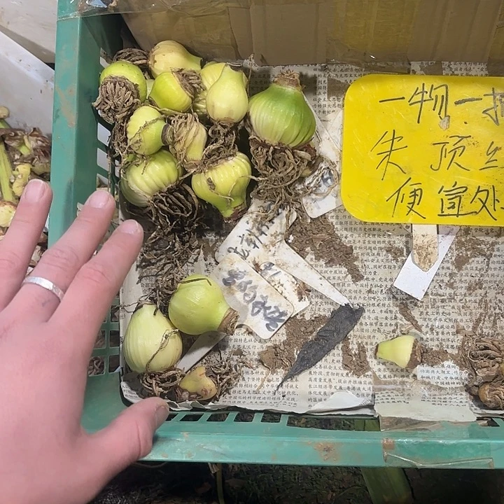 完全开放一堆混乱17个，不售后