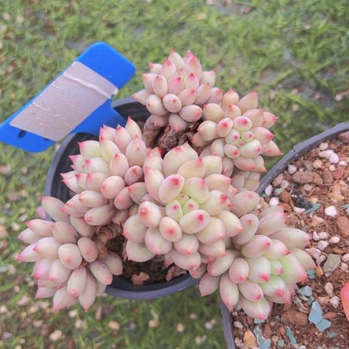 健健康康平平安安