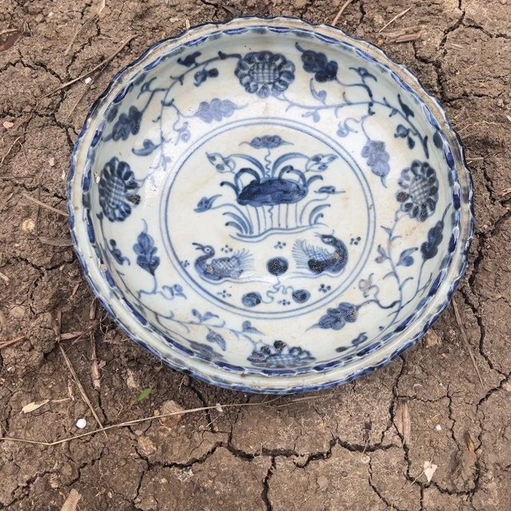 瓷片欢迎大家加入我吧我也是