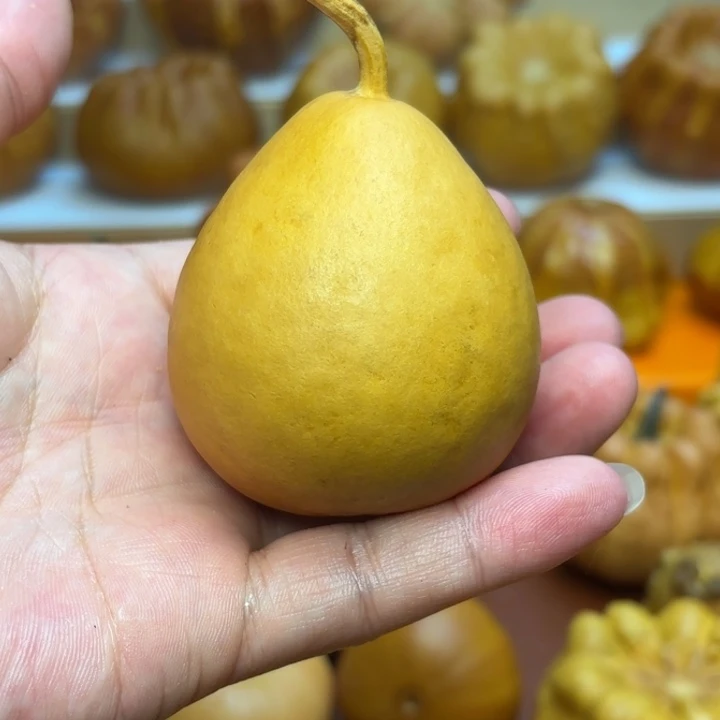 特价福利福利不退不换