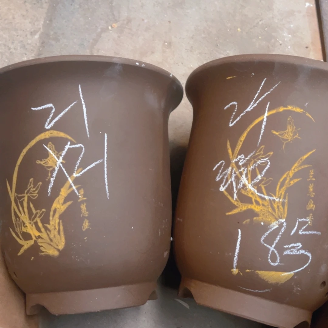 紫砂18号……………………………………