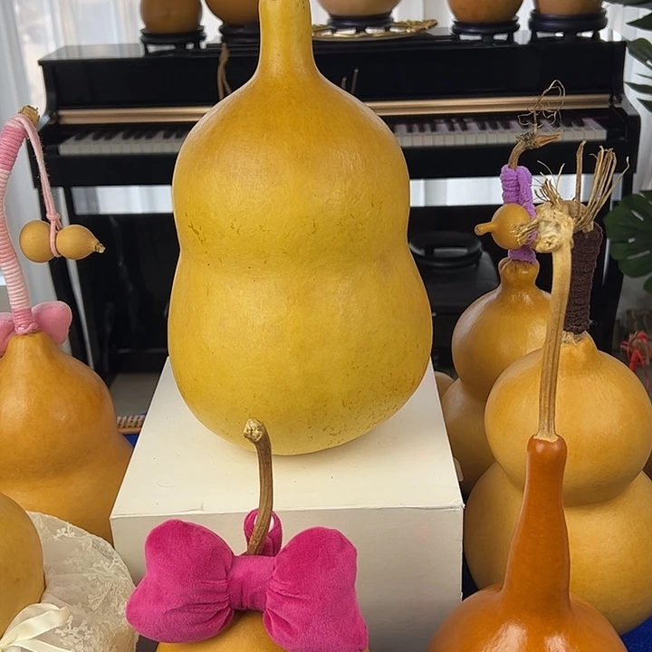 汉***堡大叶紫檀（黑酸枝木类）