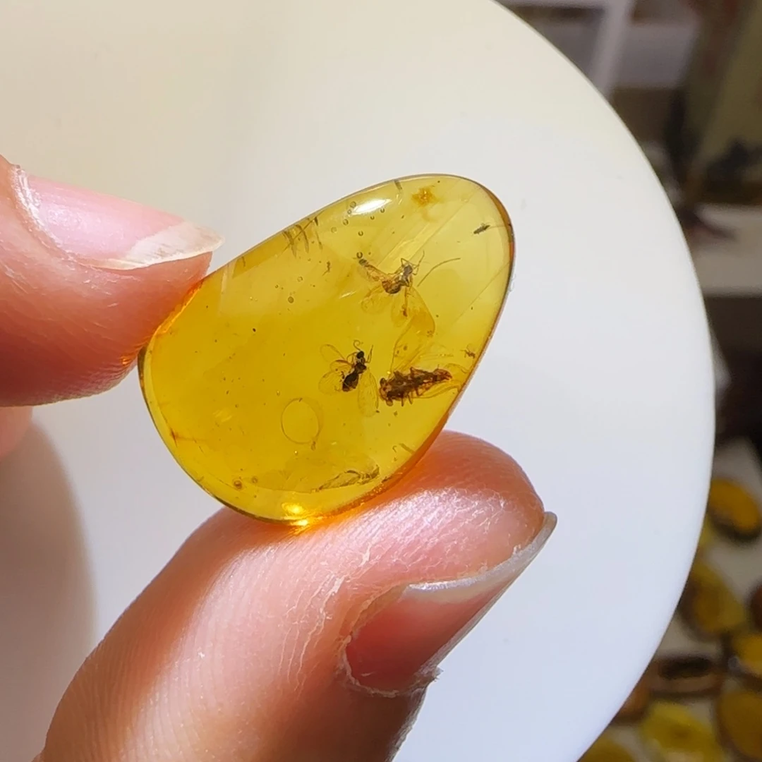 未镶嵌琥珀裸石闯**啦虫珀