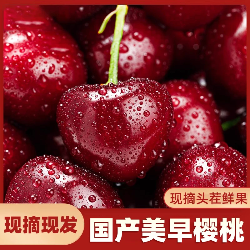 【陈书记专属】烟台大樱桃美早国产山东车厘子新鲜水果应季J~4J