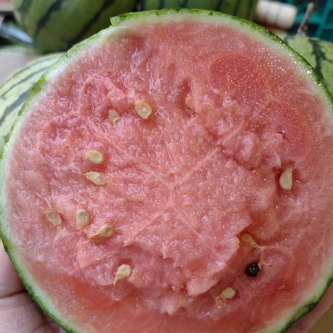 口口脆西瓜15元2个（可切好）5左右西瓜同城送四川省