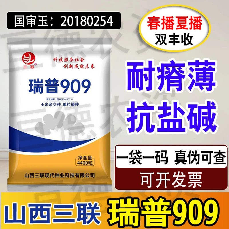 高产玉米种子第一名国审山西三联瑞普909抗旱大棒原装种子4400粒